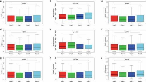 Figure 8. Expression levels of the nine mRNAs across four colorectal cancer subtypes.