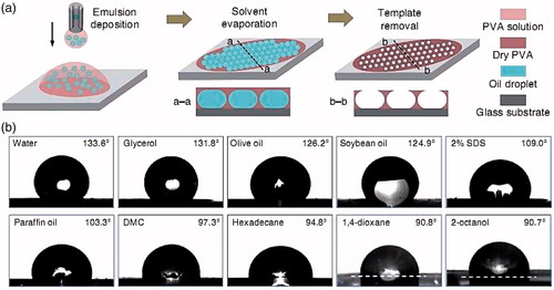 Figure 6. (a) Schematic of the preparation procedure of porous membrane.(b) Contact angle of a variety of liquids on the porous substrate. Reprinted with permission from ref. [Citation29].