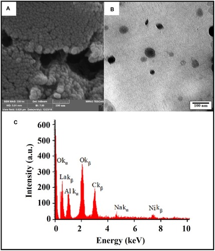Figure 3 The SEM image (A), TEM image (B) and electron dispersive spectroscopy (EDX) (C) as- synthesized La3+/α-Al2O3 NPs prepared via ultrasound assisted hydrothermal method.