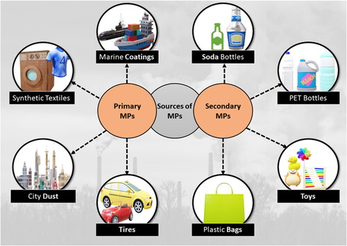 Figure 3. Primary and secondary sources of MPs in the environment.