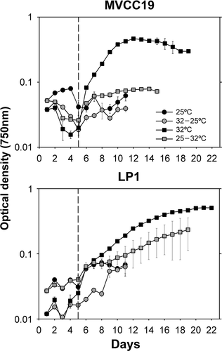 Fig. 2. Growth curves of experiment 2a (transition from 7 mg total P l−1 to 0.31 mg total P l−1). Temperature shifts were performed at time zero. The curve was obtained with the mean values (n=3, ± standard deviation; error bars are smaller than the size of the symbols if not visible) of optical density for each strain and temperature + phosphate shift. The dashed line separates the data before and after the 1:1 growth medium renewal.