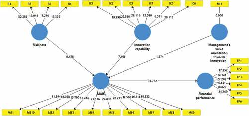 Figure 3. Structural model.