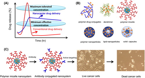 Figure 1. Improved and sustained therapeutic effect of chemotherapeutic agents using nanotechnology. (A) Oral or intravenous route for delivery of conventional formulations and nanocarriers. (B) Pictorial structures of various drug delivery devices such as polymer–drug conjugates, dendrimers, polymer micelles, polymer NPs, and lipid NPs/capsules. (C) Immunoconjugate nanosystem route for improved therapeutic efficacy. Adapted from (CitationYallapu et al. 2010).