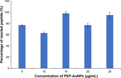 Figure 5 Results from the BCA assay.Notes: Data = mean ± SEM; N=3.Abbreviations: AuNP, gold nanoparticle; PEP-AuNP, peptide-capped AuNP; SEM, standard error of the mean.