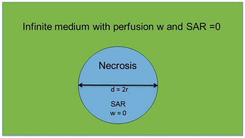 Figure 1. Simplified model of necrosis as sphere of diameter d with constant specific absorption rate (SAR) inside and perfusion w = 0. The sphere is embedded in an infinite medium with 0 SAR and arbitrary w.