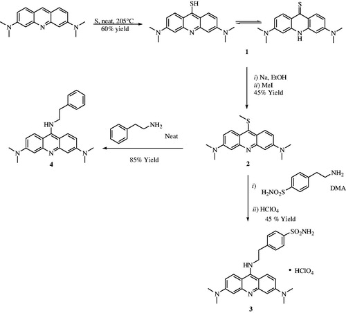 Scheme 1. General synthetic procedure for 4-(2-((3,6-bis(dimethylamino)acridin-9-yl)amino)ethyl)benzenesulfonamide perchlorate 3 and N,N,N',N'-tetramethyl-N''-phenethyl-acridine-3,6,9-triamine 4.