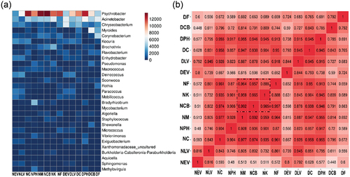 Figure 5. (a) Heatmap of bacterial abundance on the surfaces. Correlation analysis of bacterial taxons over all of the samples. (b) Pearson correlation values are indicated within the cells.