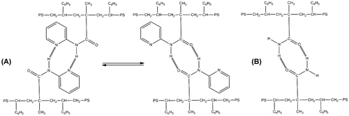 Scheme 2. (a) Self-homodimerization between P(MAAM-co-St) chains and (b) equilibrium self-homodimerization between P(MAP-co-St) chains.