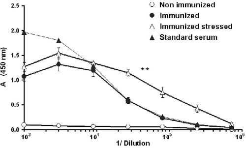Figure 4.  Ten-week-old mice were immunized twice with 38C-13 IgM, conjugated to KLH. Sera were collected 2 weeks after the second immunization and assessed for anti-idiotype (Id) antibody levels by ELISA. Mouse serum, containing a known amount of anti-Id antibodies (0.1 mg/ml) was used as a standard. Two mice that were neither immunized nor stressed served as controls. Absorbance (A) at 450 nm was measured by an ELISA reader. Stress conditioning increased antibody levels in IgM-Id-immunized mice. **Denote significant differences between the groups; P < 0.01 (ANOVA with repeated measures; n = 5). Values are expressed as mean ± SEM.