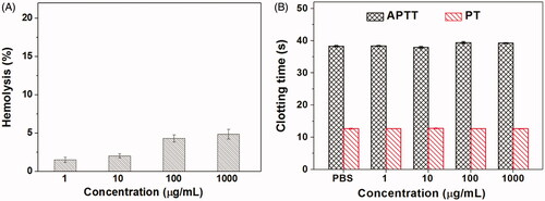 Figure 10. The hemolysis (A) and clotting analysis (B) of Tf-HPAA-GO (n = 5).