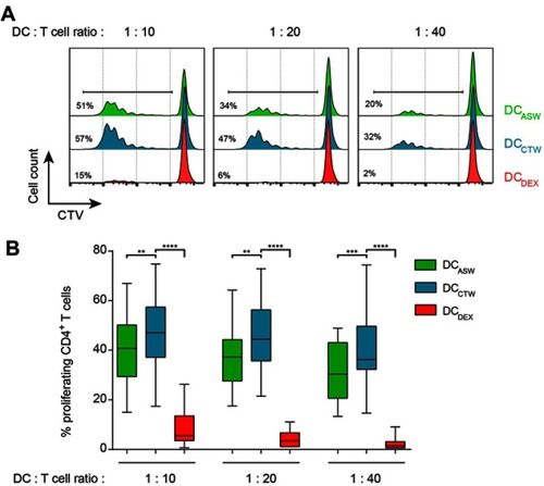 Figure 3 DCASW exhibit a reduced ability to induce CD4+ T cell proliferation. CTV-loaded allogeneic naive CD4+ T cells were cocultured with indicated DCs at T cell:DC ratio of 1:10, 1:20 or 1:40 for 5 days and CTV dilution was analyzed by flow cytometry in CD4+ T cells. (A) Representative histograms; numbers indicate the percentage of proliferating CD4+ T cells. (B) Pooled data from n=27 donors, box and whiskers representation (minimum, first quartile, median, third quartile, and maximum). **p<0.01, ***p<0.001, ****p<0.0001, One-way ANOVA (Dunnett’s multiple comparison test).Abbreviations: ASW, Avène thermal spring water; DC, dendritic cell; CTW, control water; DEX, dexamethasone; CTV, Celltrace violet. 