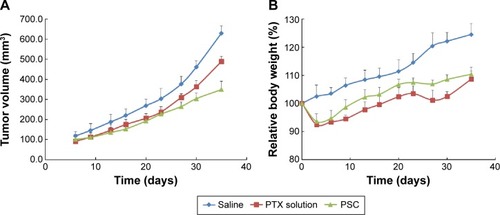 Figure 6 The effect of PTX-loaded SLNs modified with HPCD on tumor volume and body weight.Notes: The changes of tumor volumes (A) and body weight (B) according to the administration of saline, PTX solution, or PTX-loaded SLNs modified with HPCD (PSC) (n=3, mean ± SD).Abbreviations: PTX, Paclitaxel; SLNs, solid lipid nanoparticles; HPCD, 2-hydroxypropyl-β-cyclodextrin.