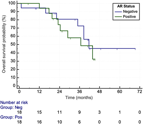 Figure 2 Kaplan-Meier curves of triple negative breast cancer patient overall survival probability by androgen receptor status. The two Kaplan-Meier curves represent the overall survival probabilities of triple negative breast cancer patients with either positive or negative androgen receptor tumors. The green curve (labelled “Positive”; “Group: Pos”) represents 18 androgen receptor positive patients (“number at risk”) which had eight events (patients who are deceased) recorded in this study. The blue curve (labelled “Negative”; “Group: Neg”) represents the 18 androgen receptor negative patients in this study which had seven events recorded. The vertical lines on the curves represent the censored overall survival data. The overall survival probabilities for androgen receptor positive patients at one year (12 months), two years (24 months) and three years (36 months) were 94%, 74% and 57.5% respectively. The overall survival probabilities for androgen receptor negative patients at one, two and three years were 94.5%, 81% and 72.5% respectively. There was no statistically significant association between overall survival and androgen receptor status in this group (p = 0.581).