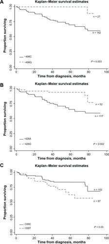 Figure 3 Kaplan–Meier estimates of time (months) and REC/SPT-free survival in HNC patients by GSTM1 promoter SNPs. (A) GSTM1–498C>G SNP and REC/SPT-free survival. (B) GSTM1 −426A>G SNP and REC/SPT-free survival. (C) GSTM1–339C>T SNP and REC/SPT-free survival.