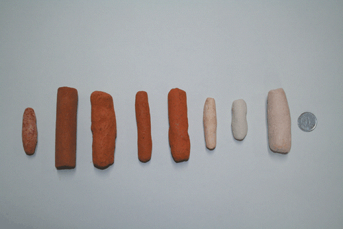 Figure 1  Appearance of the edible soil sticks (pemba) in Tanzania. From left to right: Pr1, Pr2, Pr3, Pr4, Pr5, Pw1, Pw2 and Pw3. The coin on the right is 2 cm in diameter.