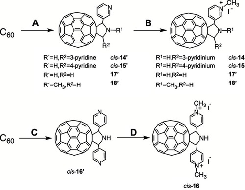 Scheme 3 Synthesis of cis-14–18. (A) 3-pyridinecarboxaldehyde, 3/4-picolylamine or glycine derivative, o-dichlorobenzene or toluene, reflux, 13–32%; (B) methyl iodide, r.t, 24–81%; (C) 4-pyridinecarboxaldehyde, 4-picolylamine, o-dichlorobenzene, reflux, 26%;(D)methyl iodide, r.t, 88%.