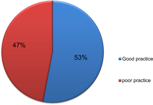 Figure 3 Nursing code of ethics practice among nursing professionals working in public hospitals of Gurage zone, SNNPR, Ethiopia, 2022 (n=413).