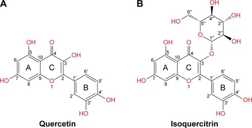 Figure 1 Structure of (A) quercetin and (B) isoquercitrin.