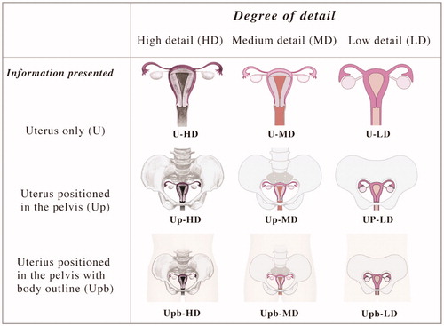 Figure 2. Uterine cervical cancer illustrations that vary in the degree of detail.