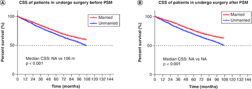 Figure 4. Kaplan–Meier survival curves.(A) CSS in undergo surgery patients before PSM, (B) CSS in undergo surgery patients after PSM.CSS: Cancer-specific survival; PSM: Propensity score matching.