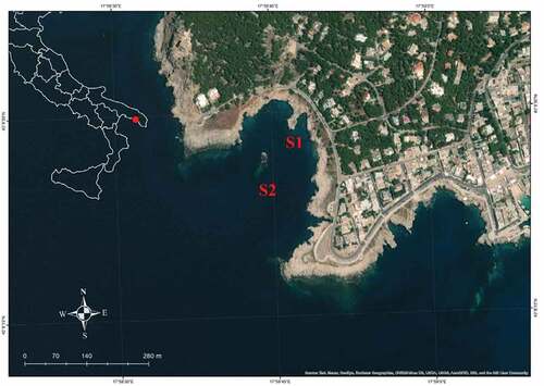 Figure 2. Study area, with sampling stations S1 and S2 highlighted in red.