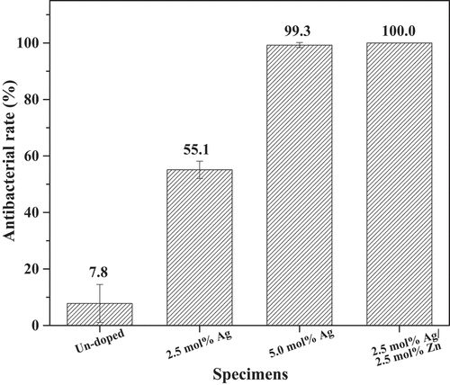 Figure 8. Antibacterial rates of un-doped, 2.5 mol% Ag-doped, 5.0 mol% Ag-doped, and 2.5 mol% Ag/2.5 mol% Zn co-doped BG specimens against E. coli bacteria.