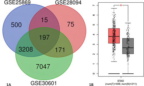 Figure 1 Hub gene screening and analysis. (A) Venn diagram (The 3 datasets showed an overlap of 197 genes). (B) *TCF4 were statistically significant.