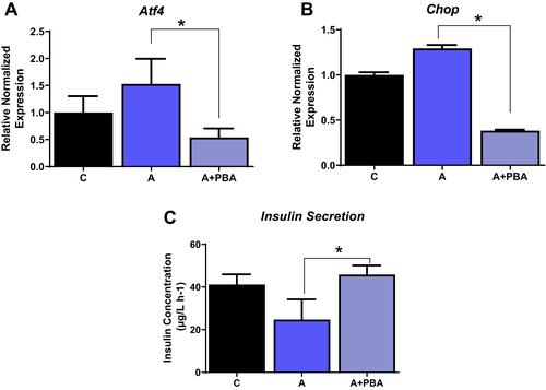 Figure 5 ER stress inhibitor reduces ER stress even in the presence of Angiotensin II. INS-1E cells treated with Ang II and ER stress inhibitor, 4-phenyl butyric acid reduces ER stress as shown (A) activated transcription factor 4 (Atf4), (B) C/EBP homologous protein (Chop) and (C) improved insulin secretion. Data are presented as mean ± SEM (n=5 each group). *p< 0.05 compared to Ang II.