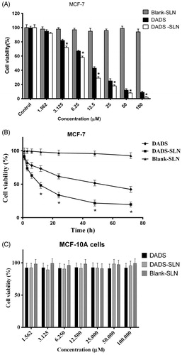 Figure 7. Antiproliferative activity study. (A) Dose-dependent cytotoxicity: MCF-7 cells were treated with different concentrations of DADS, DADS-SLN, and Blank-SLN. The extent of cell viability was measured after 24 h by performing SRB assay. Data are represented as mean ± SD (n = 3). *P < 0.05, DADS-SLN versus DADS. (B) Time-dependent cytotoxicity: MCF-7 cells were treated with different concentrations of DADS, DADS-SLN, and Blank-SLN. (C) Dose-dependent cytotoxicity: MCF-10A cells were treated with different concentrations of DADS, DADS-SLN, and Blank-SLN. The extent of growth inhibition was measured after predetermined time points of 1, 3, 6, 12, 24, and 48 h by performing SRB assay. Data are represented as mean ± SD (n = 3).