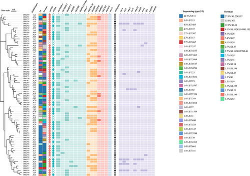 Figure 1 Phenotype and Genetic characteristics of Antimicrobial and Virulence of Carbapenem-Resistant Klebsiella pneumoniae. *Other carbapenemase genes included blaNMC, blaGES, blaIMP, blaVIM, blaSPM, blaGIM, blaSIM, and blaOXA48, 24, 58, 51-like.