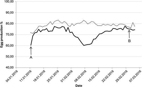 Figure 1. The solid line displays average egg production in the influenza A(H1N1)pdm09 infected turkey flock from start of lay (A) until blood samples seropositive for influenza A were detected in the flock (B). The dotted line shows average egg production in a previous turkey flock at the same farm.Average egg production was calculated as total daily egg-laying rate (%) for both houses at the farm, indicating that the actual reduction in the infected house was greater.