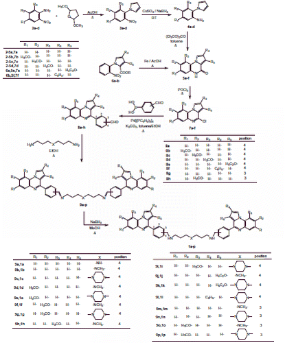 Scheme 1. Synthesis of bispyrrolo[1,2-a]quinoxalines 1a–p.