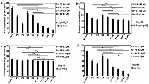 Figure 2. The quantification of the results from the HCC colony formation assays.The indicated cells were treated with PD and CP either alone or in combination treatment as described in Figure 1 legends. Values represent the mean±SD (n = 3, * P < .05; n.s. P> .05). (A) PLC/PRF/5 cells (p53-RS); (B) HepG2 cells (wild-type p53); (C) Hep3B cells (p53 null); (D) Hep3B cells (p53-RS).