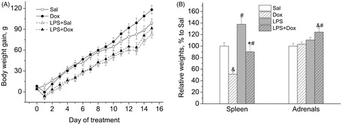 Figure 1. (A) Repeated LPS administration reduced body weight gain. (B) LPS increased the relative weights of spleen and adrenals. Co-treatment with Dox prevented the effect of LPS on spleen, but not on the adrenals. Data are presented as Mean ± SEM. &p < 0.05 vs Sal, #p < 0.05 vs. corresponding group without LPS, *p < 0.05 vs. LPS.