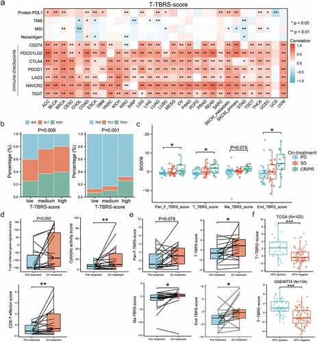 Figure 6. Synergistic roles of anti-TGFβ in ICB immunotherapy. a) Pan-cancer analysis of correlation between T-cell-TBRS score and the predictive biomarkers for ICB therapy, including TMB, MSI, neoantigen load, and immune checkpoints (e.g. PD-L1, PD-1, CTLA-4). b) Bar graphs showing the differences in the percentage of PD-L1 positive immune cells (left) and tumor cells (right) among low-, medium-, and high-T-cell-TBRS score group. IC0, TC0: <1%; IC1, TC1: ≥1% but <5%; IC2+, TC2+: ≥5%. c) Box plots indicating comparisons of TBRS scores among different anti-PD-1 responses: CR/PR, SD, and PD. The center line and bounds of box represent median and interquartile range, respectively. d) Differences in immune-related signatures before and after anti-PD-1 treatment. e) Scatter plots showing effects of anti-PD-1 therapy on TGFβ signaling activity in non-cancer cells within the TME. f Comparisons of T-cell-TBRS score between HPV-positive and HPV-negative samples in TCGA and GSE40774. Spearman correlation coefficient and corresponding P value indicated beside plot. Sample size, exact coefficient and P value given in Supplementary table. TMB, Tumor mutation burden; MSI, microsatellite instability; IC, immune cell; TC, tumor cell; CR/PR, complete response/partial response; SD, stable disease; PD, progressive disease. *P < 0.05, **P < 0.01, ***P < 0.001.