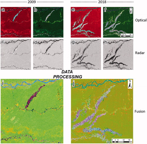 Figure 4. Panel (a) and (b) show the combinations NIR, RED and GREEN and SWIR2, SWIR1, GREEN from the year 2009 (Landsat-5 TM). Panel (c) and (d) show the same region with polarizations HH and HV (ALOS PALSAR—2009) respectively. Panel (e) and (f) show the combinations NIR, RED and GREEN and SWIR2, SWIR1, GREEN from the year 2018 (Landsat-8 OLI). Panel (g) and (h) show the same region with polarizations VV and VH (Sentinel 1B—2018). Finally, panel (i) and (j) show the fused images of 2009 and 2018 respectively, in both cases using a combination with the first three principal components.