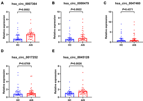 Figure 6 Relative levels of the five candidate circRNAs via qRT-PCR in the validation sample (n=36/36, healthy control [HC]/acute ischemic stroke [AIS]). Two circRNAs were significantly differentially expressed: (A) hsa_circ_0007364 and (E) hsa_circ_0045128. Three circRNAs were not significantly differentially expressed: (B) hsa_circ_0000479, (C) hsa_circ_0047460, and (D) hsa_circ_0017252. Median ± interquartile range, Mann–Whitney U-test.