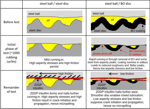 Figure 19. Schematic illustration of the primary mechanism by which BO coating mitigates micropitting.