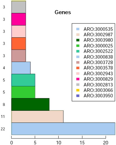 Figure 6. Number of notes in CARD database of the first 11 resistance genes of LYBC06 strain. Note: The predicted protein-encoding genes of LYBC06 strains in CARD database annotation, the top 3 resistance genes with the largest number of genes were ARO: 3000535 (22), ARO: 3002987 (11), and ARO: 3003980 (8).