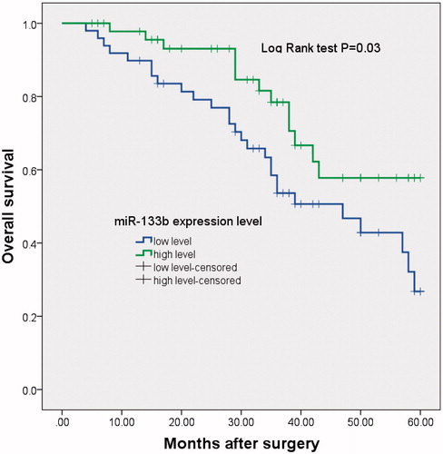 Figure 2. Kaplan–Meier curve for overall survival in glioma patients with low versus high miR-133b expression.