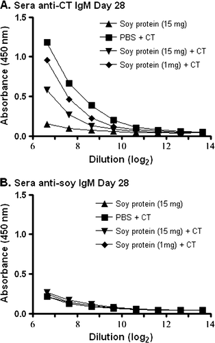 Figure 5.  Detection of IgM anti-CT or IgM anti-soy protein antibodies in serum. Groups of mice were gavaged with 10 µg of CT in PBS (N=4), soybean seed extract containing 15 mg of total soluble protein in PBS (N=4), or soybean seed extract containing 15 mg (N=5) or 1 mg (N=6) of total soluble protein with CT in PBS on days 0 and 14. Total serum IgM anti-CT (A) or IgM anti-soy protein (B) antibody reactivity was determined by ELISA at day 28 at the indicated serial dilution of serum. Results are presented as mean absorbance values for each group of animals. Standard deviations were always less than 5% of mean values.