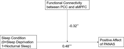 Figure 4 The moderation model among sleep conditions, the PCC-aMPFC connectivity, and the positive affect of PANAS. Functional connectivity between PCC and aMPFC in the α band was a moderator, and sleep condition and positive affect were independent and dependent variables, respectively. The path coefficients reported were standardized. **p < 0.01; ***p < 0.001.