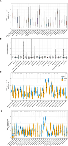 Figure 1 MRC1 expression in normal and tumor tissues. (A) Boxplot showing the normalized expression levels of MRC1 across 31 tissue types from the GTEx database. Higher box plots indicate higher average expression levels. (B) Violin plot depicting the distribution of MRC1 expression across 21 different cancer types from the CCLE database. Each violin plot represents the distribution of expression levels for a specific cancer type. (C) Violin plot comparing the mRNA expression levels of MRC1 in tumor and paracancerous tissues from the TCGA database. (D) Violin plot illustrating the differential expression of MRC1 between matched tumor and normal tissue samples from the GTEx and TCGA databases. *P<0.05;**P<0.01;***P<0.001;-:not significant.