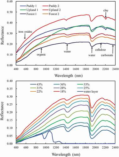 Figure 3. Typical hyperspectral reflectance of diverse soils (a) and a soil with different water content (b). (Zhi and Inoue et al. Citation2012)