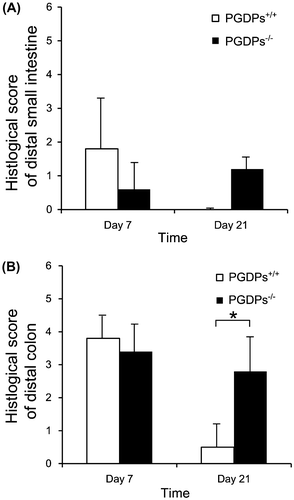 Figure 4. (A) Histological score of distal small intestine on colitis no significant differences were observed in histological score of distal small intestine between the PGDPs−/− and PGDPS+/+ mice. (B) Histological score of distal colon on colitis was not different on day 7 between the PGDPs−/− and PGDPS+/+ mice. On day 21, however, histological score of distal colon of PGDPs−/− was significantly higher than that of PGDPs−/−.*p < 0.05.