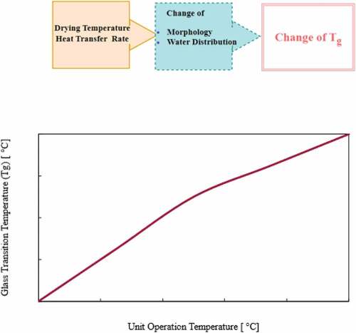 Figure 5. Effect of drying temperature and heat transfer rate on Tg during drying.