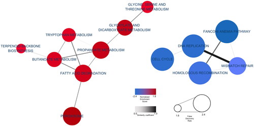 Figure 2. KEGG GSEA. Cytoscape visualized functional enrichment analysis results from GSEA. Nodes represent enriched KEGG pathways. Line thickness indicates overlap coefficients (overlap levels between nodes).