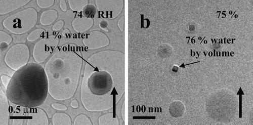 FIG. 7 (a) NaCl particles generated using the bubbler method at 74% RH. (b) ∼ 40 nm NaCl particles generated using the VCAG method at 75% RH. All particles were imaged on an ultra-thin carbon film with a holey-carbon support film.