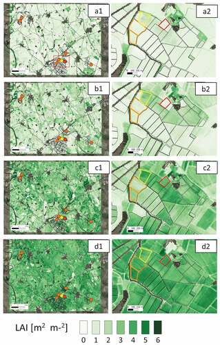 Figure 8. Sentinel-2 LAI maps retrieved at district level in four dates (left panels) and details for some fields (right panel). Zoom area is highlighted by red box drawn in a1 panel. The considered dates are: 1 June 2018 (a), June 21st (b), 7 July 2018 (c) and 5 August 2018 (d). Dots highlight the locations of the LAI temporal profiles shown in Figure 10. Six locations are from the field monitored in the SATURNO project (Orange). Two locations are from fields with late (yellow) and early (red) sowing dates as reported by the farmer. Color polygons highligth position and extent of selected fields in the zoom area (rigth polygons).