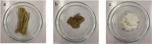 Figure 3. Photograph images of: (a) WHF-R, (b) WHF-A, (c) WHF-B.